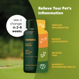 Rooted Owl Turmeric - Turmeric Supplement for Dogs and Cats - with Curcumin, Piperine and Vitamin C for Anti-Inflammatory Relief - 60/ct