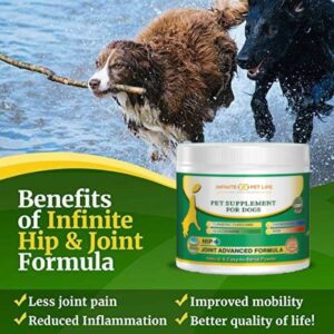 Advanced Hip and Joint Supplement for Dogs Large Breed - Glucosamine for Dogs Mobility & Pain Relief - Chondroitin, MSM & Turmeric | Bundle Pack(Chewable Tablets + Powder)