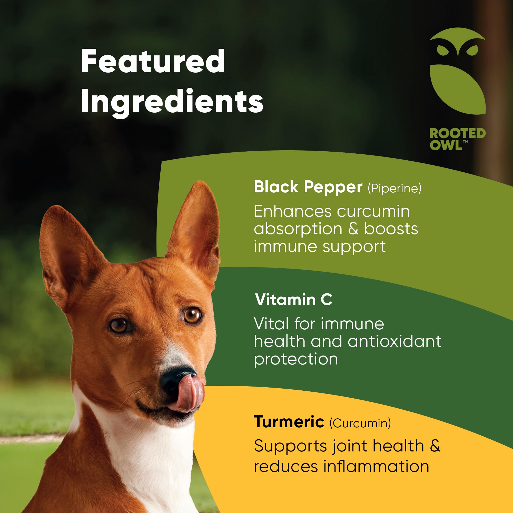 Rooted Owl Turmeric - Turmeric Supplement for Dogs and Cats - with Curcumin, Piperine and Vitamin C for Anti-Inflammatory Relief - 60/ct