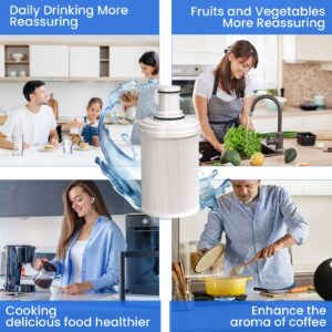 【Upgrade】100186 water filter compatible with Amway espring water filter, effectively removing odors, residual chlorine while allow calcium, magnesium, beneficial minerals pass, Lasting 1year or 5000L