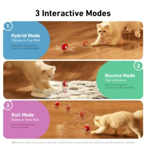 Cheerble 【2025 Upgrade】 Interactive Cat Ball Toy, Wicked Ball M3, Automatic Moving Ball Toy for Indoor Cat Kitten, Smart Anti-Depression Pet Toy Fun Gift with Light