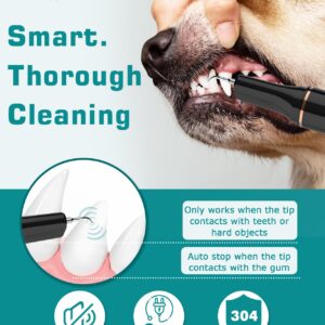 Petbank Dog Teeth Cleaning Kit 12-in-1, Pet Ultrasonic Canine Plaque Remover for Teeth with LED Light, 5 Cleaning Mode, USB Charge Dog Toothbrush Tool with Dental Tools Scaler Scraper