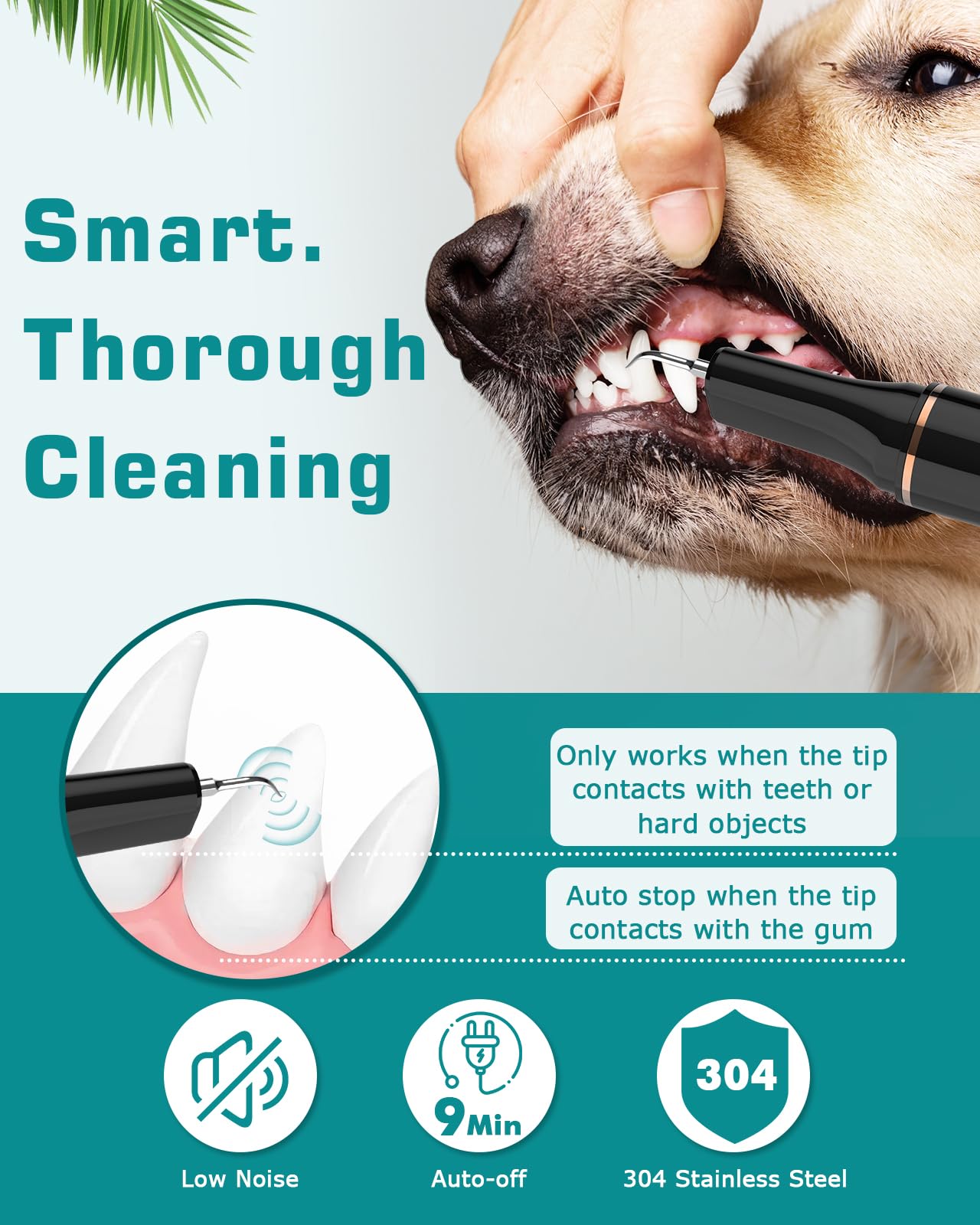 Petbank Dog Teeth Cleaning Kit 12-in-1, Pet Ultrasonic Canine Plaque Remover for Teeth with LED Light, 5 Cleaning Mode, USB Charge Dog Toothbrush Tool with Dental Tools Scaler Scraper