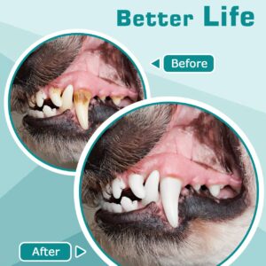 Petbank Dog Teeth Cleaning Kit 12-in-1, Pet Ultrasonic Canine Plaque Remover for Teeth with LED Light, 5 Cleaning Mode, USB Charge Dog Toothbrush Tool with Dental Tools Scaler Scraper