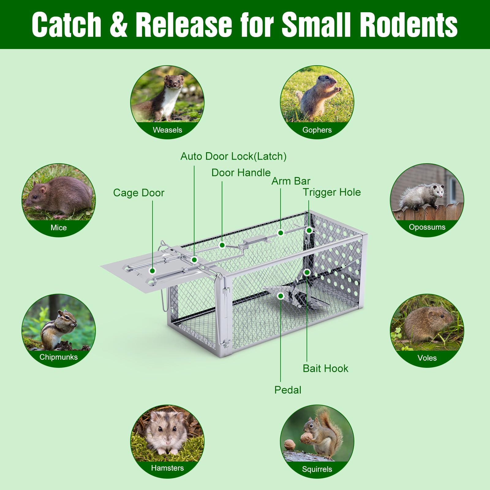 Zorpupoa Humane Rat Trap, Humane Live Animal Mouse Cage Traps, Small Rodent Chipmunk Squirrel Trap and Other Live Animal Trap Cage for Indoor and Outdoor Use