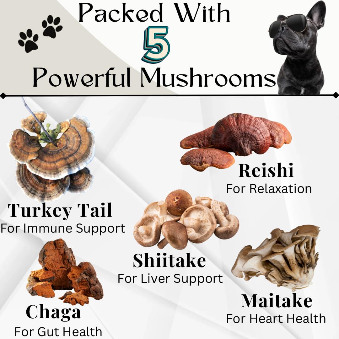 Dogs Immune Support Mushroom Supplement - Supports Longevity, Cognition, Joint, Cellular & Gut Health - All Natural Organic, GrainFree - Buddy Guard for Lumps and Bumps, Chicken Flavour - 90 Chews