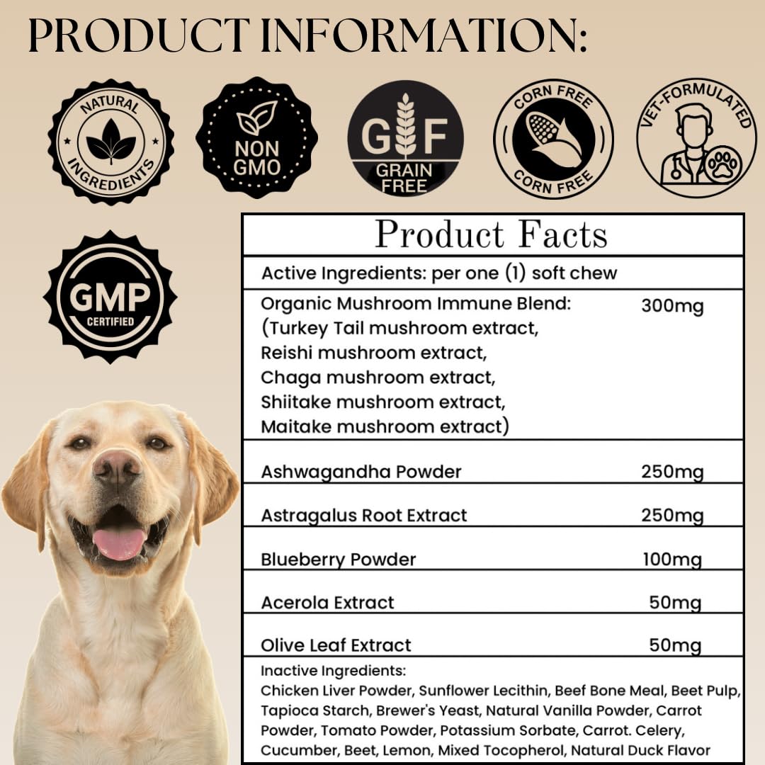 Dogs Immune Support Mushroom Supplement - Supports Longevity, Cognition, Joint, Cellular & Gut Health - All Natural Organic, GrainFree - Buddy Guard for Lumps and Bumps, Chicken Flavour - 90 Chews