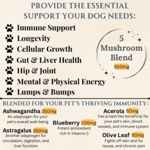 Dogs Immune Support Mushroom Supplement - Supports Longevity, Cognition, Joint, Cellular & Gut Health - All Natural Organic, GrainFree - Buddy Guard for Lumps and Bumps, Chicken Flavour - 90 Chews