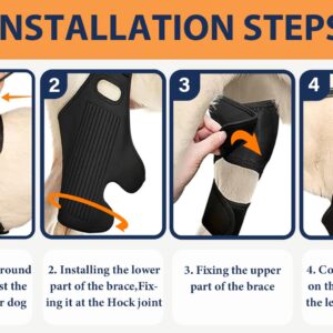 Huimpet Dog Knee Leg Brace, Dog ACL Brace for Back Hind Rear Leg, Dog Leg Support Brace for Torn ACL Tear, Luxating Patella, Hip Dysplasia and Dog Arthritis, Adjustable (Large)