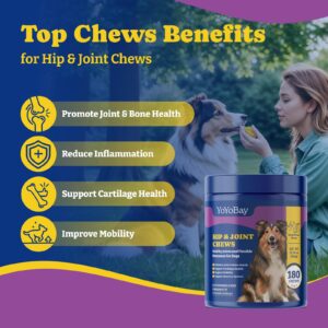 Dog Probiotics for Gut, Immune & Skin Health + Dog Joint Supplement for Anti-Inflammatory, Support Hip & Joint Health, Mobility - 180 Soft Chews