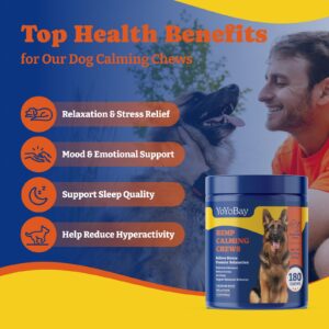 Dog Calming Chews for Anxiety Relief, Separation Aid, Travel, Thunderstorms + Dog Multivitamin Chewable Supplement for Immune & Energy Boost, Joint Support - 180 Soft Chews