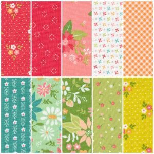 Strawberry Lemonade Fat Eighth Bundle (10 Pieces) by Sherri and Chelsi for Moda (SC.STRAWLEM.10FE)