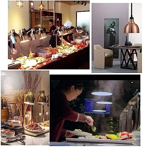 LINKANRUO Heat Lamp Food Warmer Kitchen Heat Lamp, Hotel Kitchen, Cafeterias Food Heat Lamp Food Heat Reference Table Lamp Display Stand Lamp Hood Cutting Lamp Lamps(Bronze,Double Head)