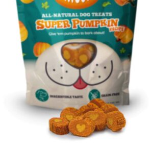 Addiction Zen Vegetarian Dog Food & Awesome Pawsome Super Pumpkin Vegan Treats Bundle, Plant-Based Dog Food and Treats, Made in New Zealand, for Sensitive Dogs