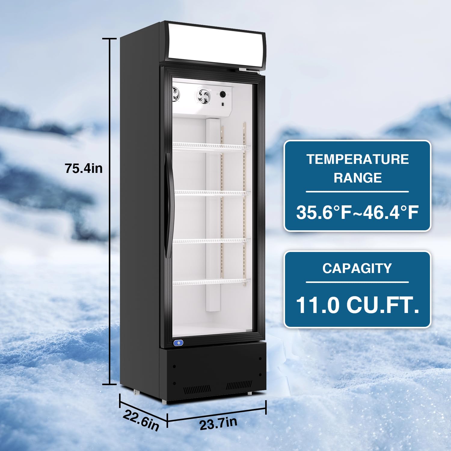 okeyolive 11 Cu Ft Commercial Merchandiser Refrigerator, Glass Door Upright Display Fridge with LED Lighting, Large Freestanding Beverage Cooler