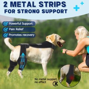 Dog Double Knee Brace for Torn ACL Hind Legs, Non-Slip Dog Double Leg Brace for Back Legs with Comfort Vest, Enhanced Stability Dog ACL Hip Brace with 2 Metal Strips for Ligament Injuries（Black,1-C)