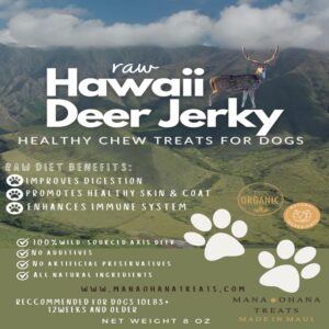 Deer Jerky Dog Treats - 100% Venison Meat, Grain-Free & All Natural | Healthy Chew Treats for Medium & Large Dogs | Made in USA - 8 Oz