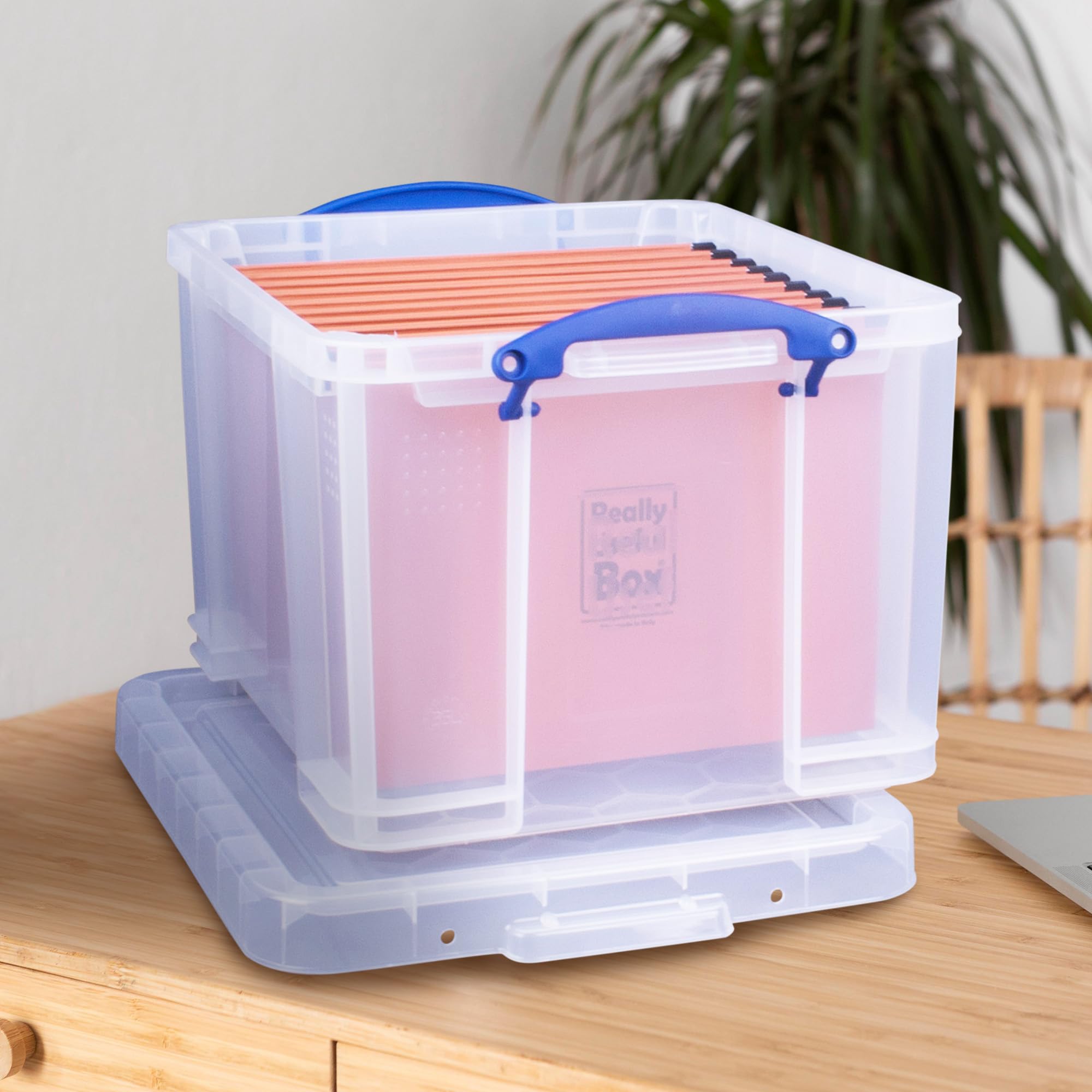 Really Useful Box 32 Liters Storage Bin Container with Snap Lid and Clip Lock Handles for Lidded Home and Office Storage Organization, 12 Pack