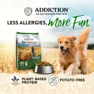 Addiction Zen Vegetarian Dog Food & Awesome Pawsome Super Pumpkin Vegan Treats Bundle, Plant-Based Dog Food and Treats, Made in New Zealand, for Sensitive Dogs