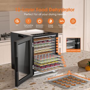 Food Dehydrator Machine, 12-Trays Stainless Steel Digital Food Dryer for Home,10 Presets, 48H Timer and Temperature Control, 850W Dehydrators for Food and Jerky, Dog Treats,Meats & Veggies