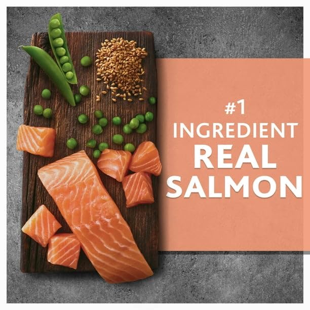 FYNORI Wild & Free Salmon & Pea Recipe Dry Dog Food, Grain-Free, 11 Lbs, Natural with Added Vitamins, Minerals, and Other Trace Nutrients