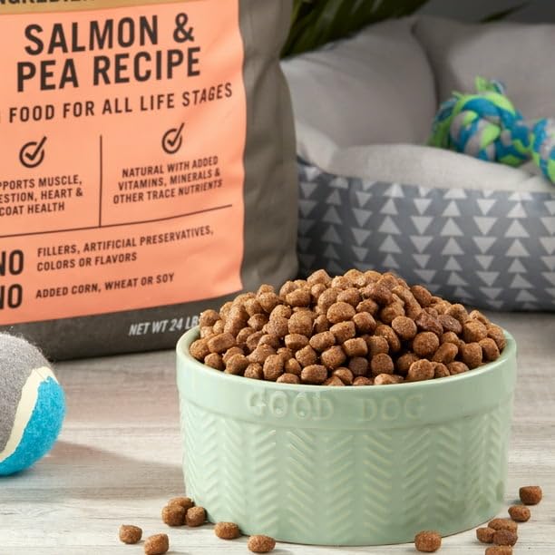 FYNORI Wild & Free Salmon & Pea Recipe Dry Dog Food, Grain-Free, 11 Lbs, Natural with Added Vitamins, Minerals, and Other Trace Nutrients