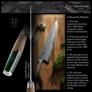 Tenkumun Japanese Gyutou Knife Pro. Handcrafted 8 inch Chef Knife Handmade Forged Knife Japan VG-10 Damascus Steel -Kokoro ser.