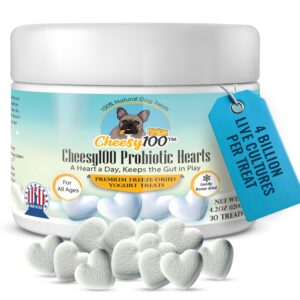 cheesy100 probiotic dog treats - gentle freeze-dried yogurt hearts with 4 billion live cultures