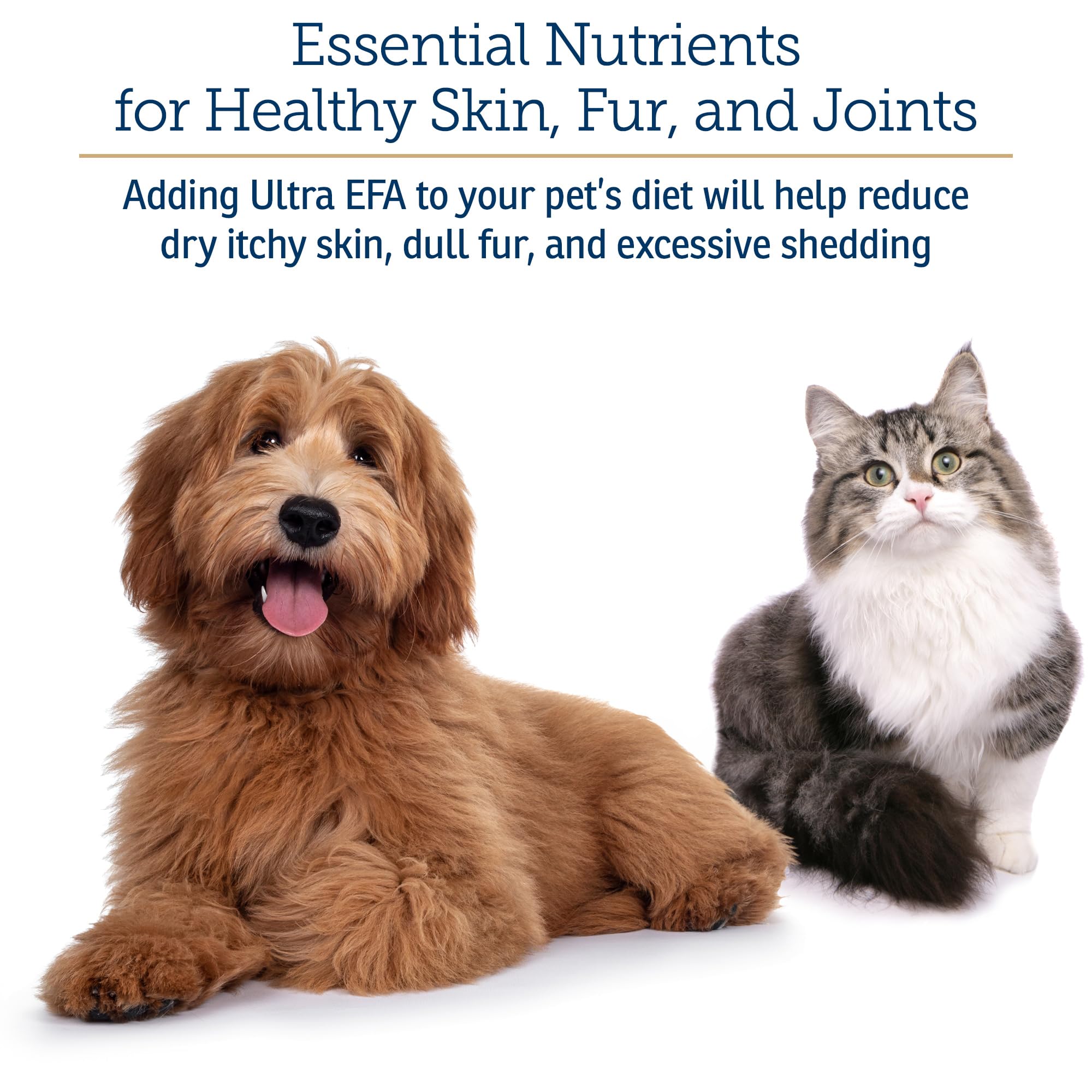 Rx Vitamins Ultra EFA Omega 3 Fish Oil for Dogs & Cats - Promotes Heart, Brain, and Joint Health with Vitamin E, Biotin, and Zinc - Liquid Fish Oil for Itch Relief, Dog Shedding, Coat Health - 8 oz