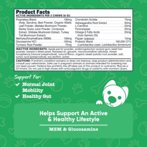 Nutricost Pets Multi-Functional Active & Healthy Lifestyle Support Soft Chews for Dogs (Beef Flavor) 60 Soft Chews