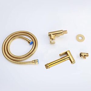 ifgswopq Toilet Sprayer Bidet Handheld Bidet Sprayer Toilet Bidet Shower Hose Cold Water Brass Gold Douche Spray Kit for Women,B (C)