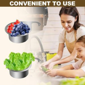 Stainless Steel Sink Drain Strainer Basket, 2024 Upgraded Multifunction Hanging Sink Strainer Colander Drain Basket, Kitchen Sink Food Waste Filter and Vegetables Fruits Clean(S,1pcs)