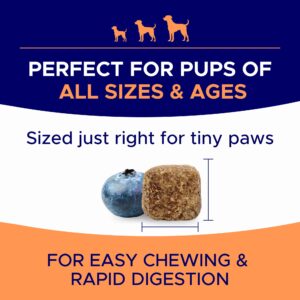 Dog Allergy Relief Chews — Anti-Itch Skin & Coat Supplement: No Fillers, Just Flavor - Itchy Skin Relief Treatment w/Omega 3 Fish Oil - Itching&Paw Licking - Dry Skin&Hot Spots - Made in USA - 180Ct