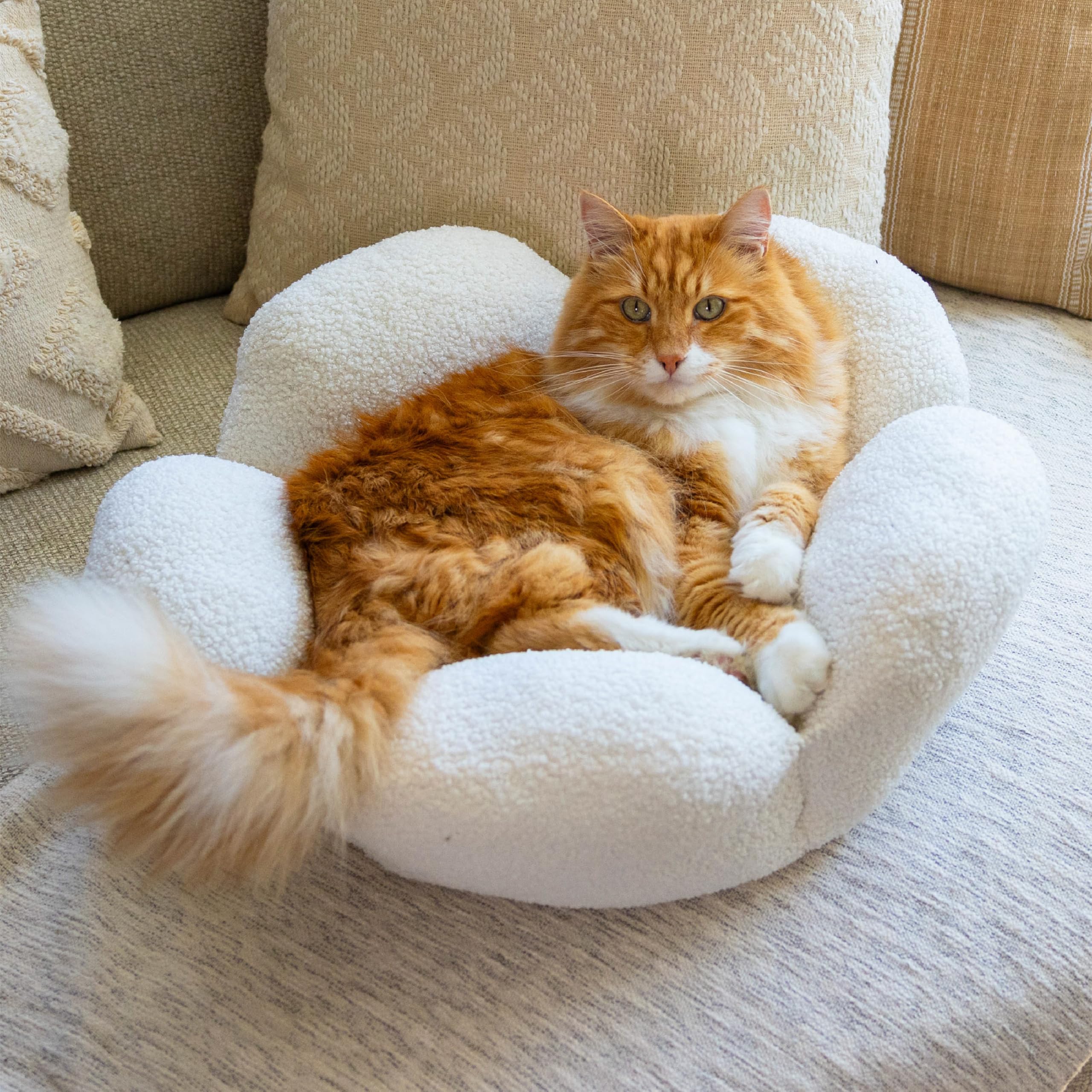 Catstages Purrfect Petals Washable Flower Shaped Round Cat Bed for Indoor Cats, Plush, White