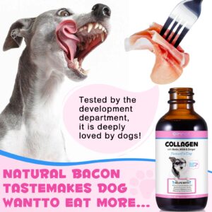 Collagen for Dogs,Liquid Collagen for Dogs,Collagen Supplement for Dogs,Collagen Boost for Dogs with Biotin, MSM & Ginger,Delicious Bacon Flavor,2 Fl Oz