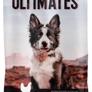 Ultimates Chicken Meal & Rice Dry Dog Food (40 lb. Bag)