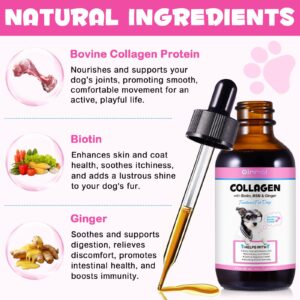 2Pack Collagen for Dogs,Liquid Collagen for Dogs,Collagen Supplement for Dogs,Collagen Boost for Dogs with Biotin, MSM & Ginger,Delicious Bacon Flavor,2 Fl Oz