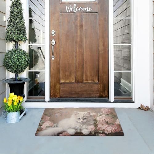 MUKJHOI Welcome Mats 32x20 Inch for Front Door Outdoor Cat (42) Doormat Non-Slip Rubber Mat for Home Indoor Farmhouse Funny Kitchen Rugs Balcony Patio