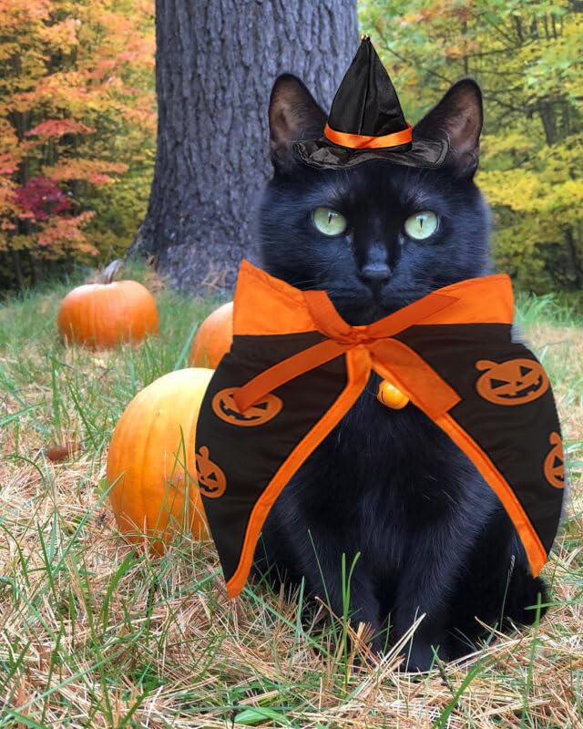 Halloween Cat Costume Cloak Witch Hat Pet Accessories Halloween Adjustable Pumpkin Pet Costume Clothes Set, Halloween Pet Costume Decor Cloak for Cats Dogs Animal Halloween Carnival Party Supplies