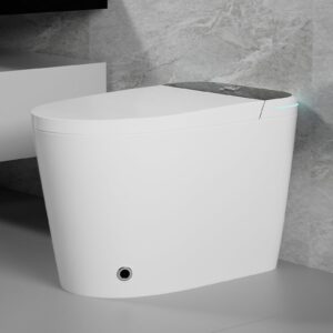 WinZo Rear Outlet Smart Toilet With Bidet Seat, Auto Open & Close, Auto Flush, Heated Seat, Warm Water and Dryer, Night Light, Side Knob, White with Black Panel