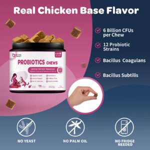 Probiotics for Dogs - Dog Probiotics and Digestive Enzymes for Digestive Health - Plus Fish Oil & Vitamins Supplement for Allergies & Immune & Itchy Skin, 106 Chicken Flavor Probiotic Soft Chews