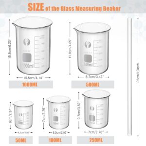 Feekoon 10 Pieces Glass Measuring Beaker Graduated Measuring Cylinder with Stirring Rod 50/100/ 250/500/ 1000 ml Thick Glass Beakers 5/10/ 50/100 ml Graduated Cylinders for Science Lab (9.8 Inch)