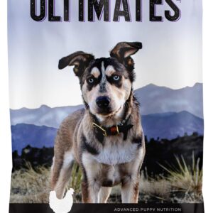 Ultimates Puppy Dry Food for Puppies (40 lb. Bag)