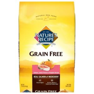 grain free salmon, sweet potato & pumpkin recipe, dry dog food, 12 lb, no artificial flavors, colors, or preservatives