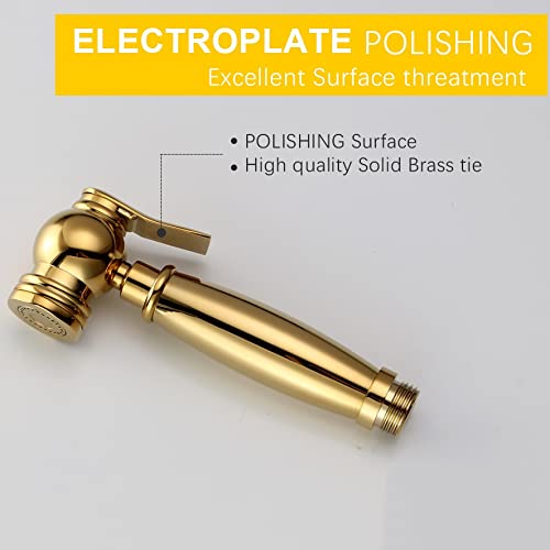 IIPOSAQQ Hand Held Bidet Sprayer Shiny Titanium Gold Solid Brass Toilet Douche Kit Shower Head Copper Valve Faucet Set (Color : A) (B)