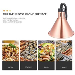 CHANGLKJ Hanging Food Warmer Light, 250W Buffet Hanging Heat Lamp with Retractable Cable, Telescopic Range 60-180cm and Fast Heat Dissipation, Durable Beautiful, for Cafeteria, Restaurant, Hotel