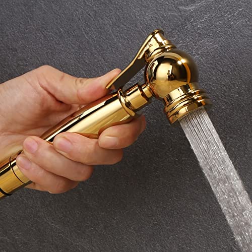 IIPOSAQQ Hand Held Bidet Sprayer Shiny Titanium Gold Solid Brass Toilet Douche Kit Shower Head Copper Valve Faucet Set (Color : A) (B)