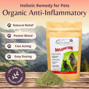 Glacier Peak Holistics Inflapotion - Natural Anti-Inflammatory Relief for Dogs & Cats, Organic Remedy Arthritis, Inflammation, Hip & Joint Pain - 3oz