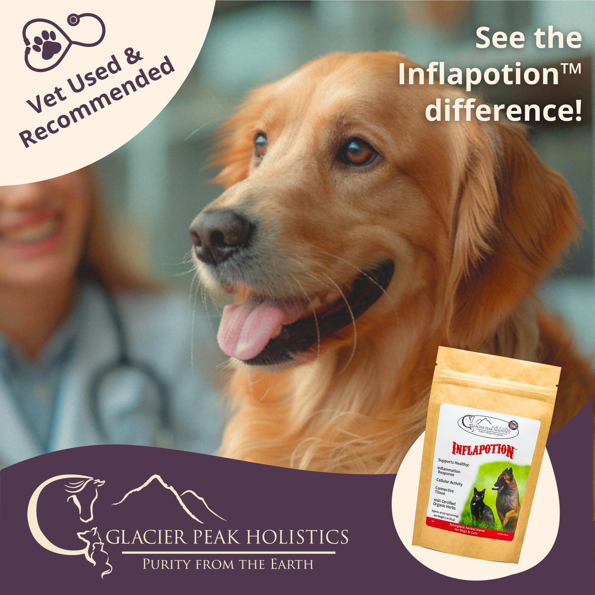 Glacier Peak Holistics Inflapotion - Natural Anti-Inflammatory Relief for Dogs & Cats, Organic Remedy Arthritis, Inflammation, Hip & Joint Pain - 3oz