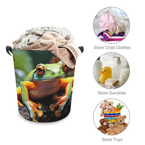 Laundry Hamper Lovely Tree Frogs Freestanding Laundry Basket Thickened Waterproof Collapsible Clothes Hamper Storage for Clothes Toys Dorm And Family